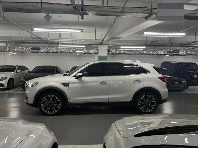 Hongqi Hongqi HS5 2.0T Zhilian Qixiang four-wheel drive version