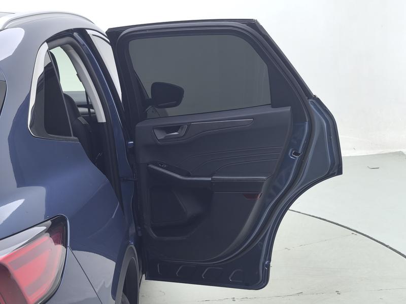 Ford Ruiji 2020