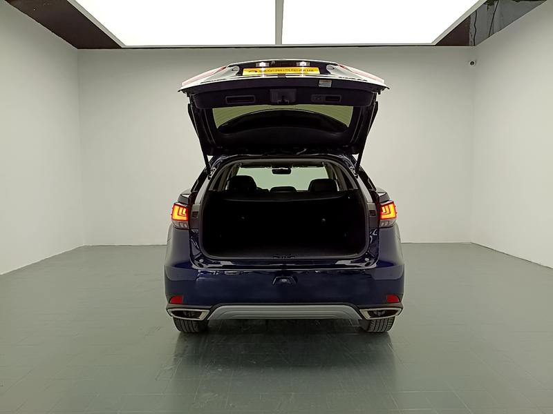 Lexus Lexus RX 2020