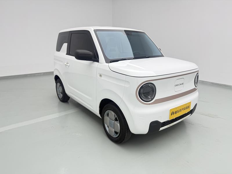 Geely Galaxy panda 2024