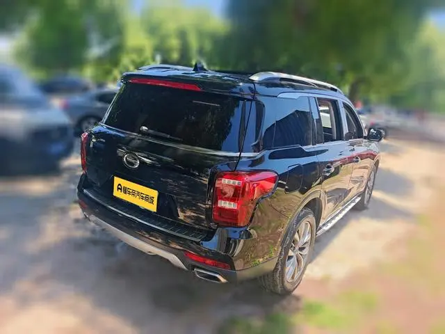 GAC Trumpchi GS8 320T two-wheel drive luxury Zhilian Edition 7 seats