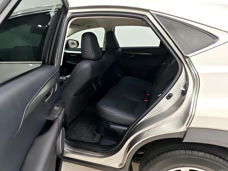 Lexus Lexus NX 2020