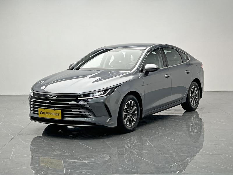BYD Destroyer 05 2024