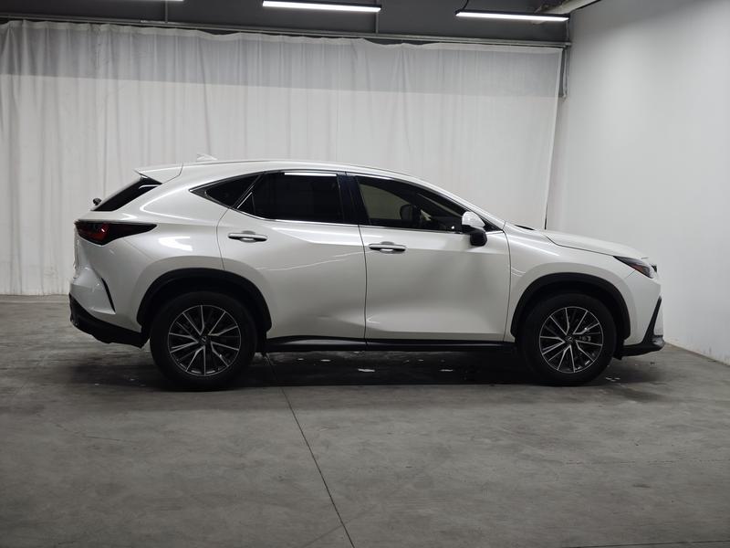 Lexus Lexus NX 2024