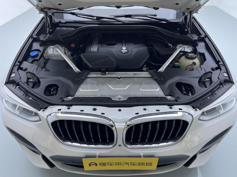 BMW BMW X3 2021