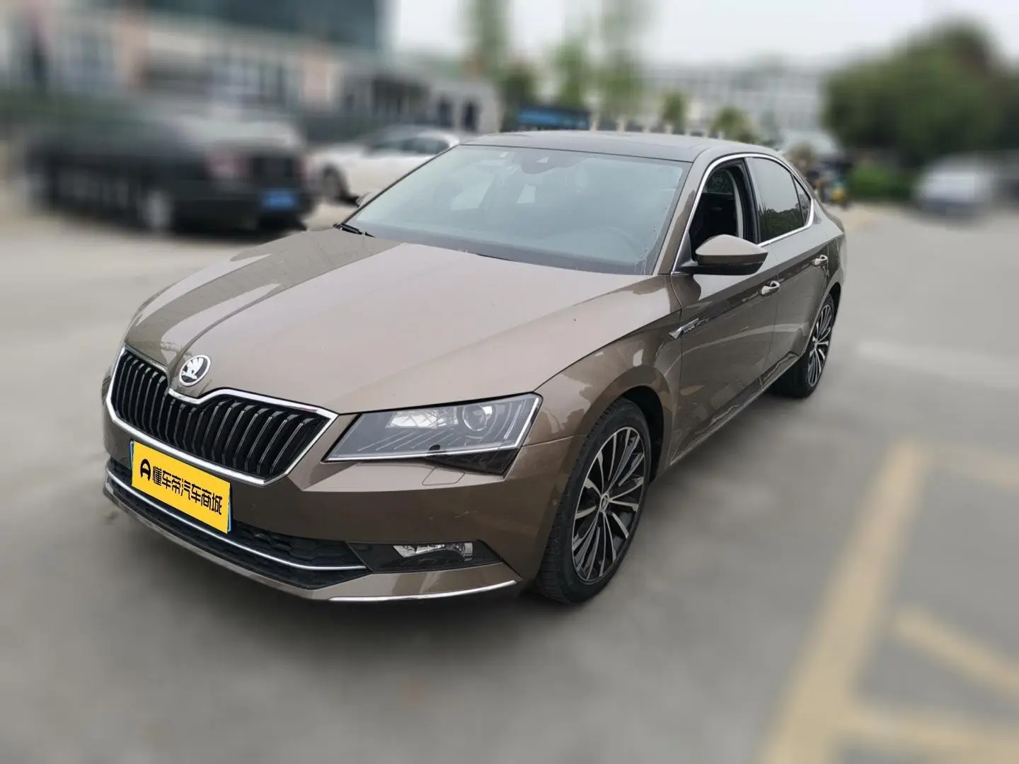 Skoda Speed pie ZI330 DSG Smart Edition