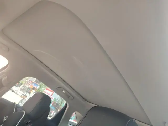 Hongqi Hongqi HS3 1.5T Shanwei Edition