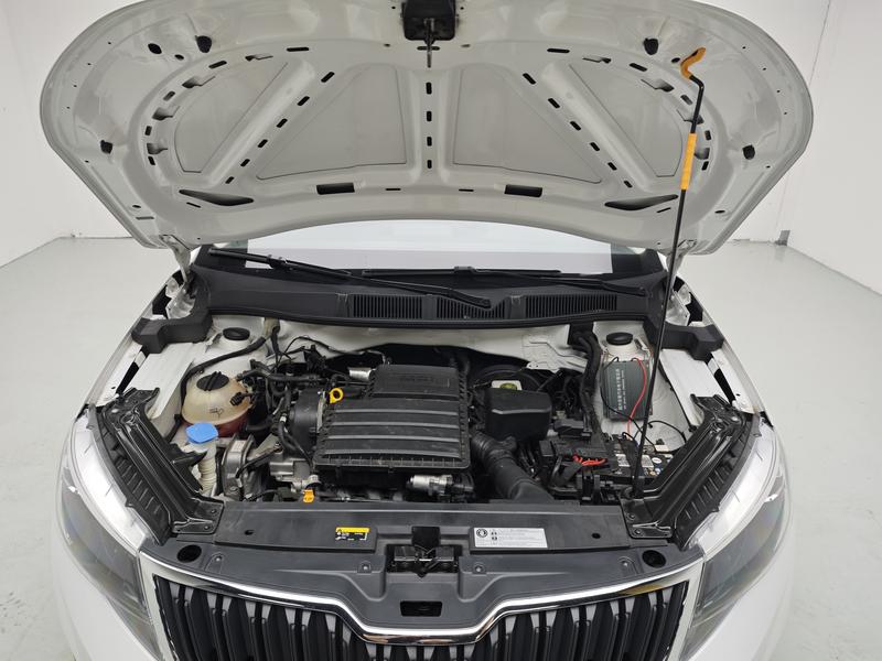 Skoda Kemik 2024