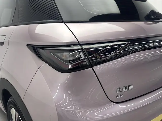 BYD dolphin Fashion edition