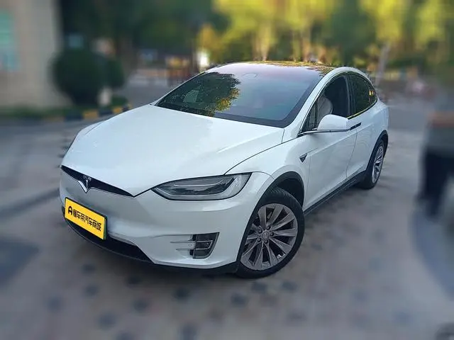 Tesla Model X 100D long battery life version