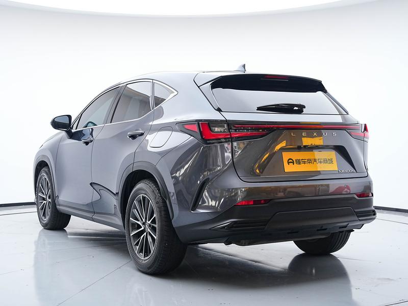Lexus Lexus NX PHEV 2023