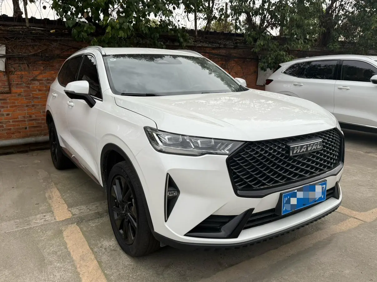 Haval Haval H6 The third generation 2.0T automatic four-wheel drive Max version
