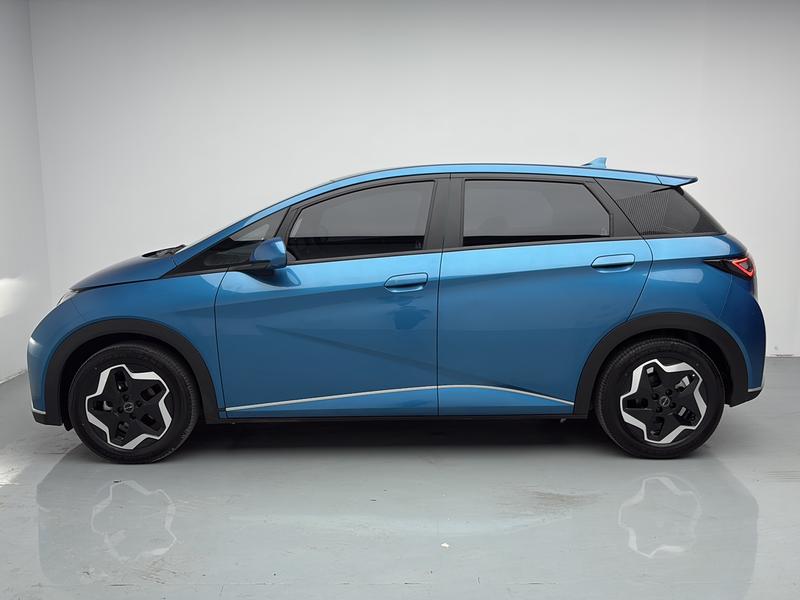 BYD dolphin 2021