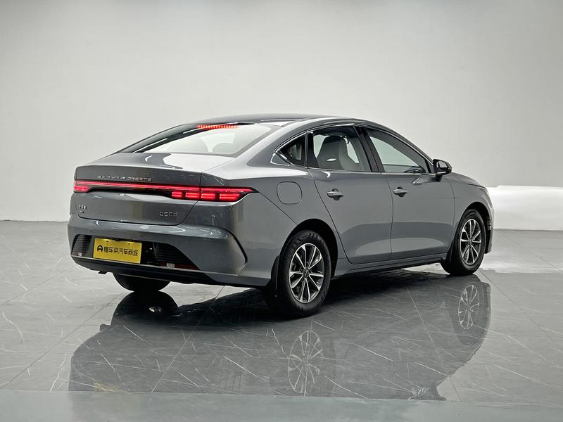 BYD Destroyer 05 2024