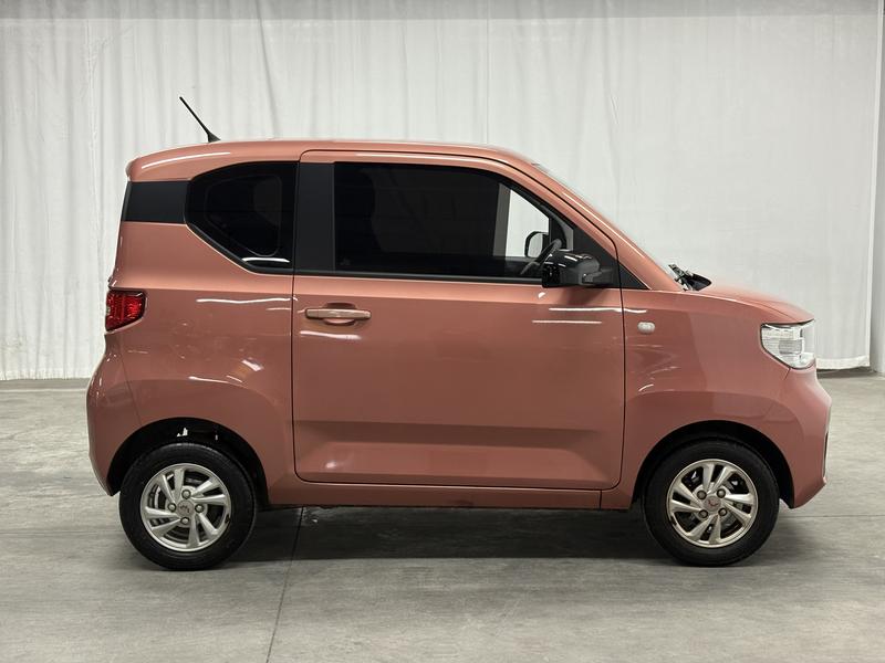 Wuling Wuling Hongguang MINIEV 2020