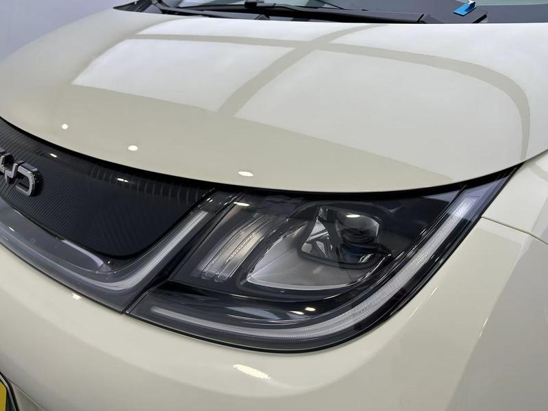 BYD dolphin 2025
