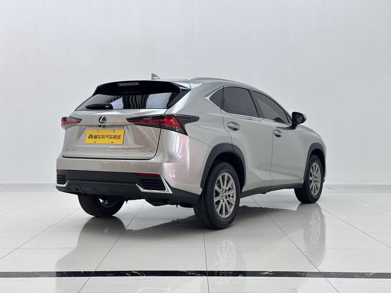 Lexus Lexus NX 2020