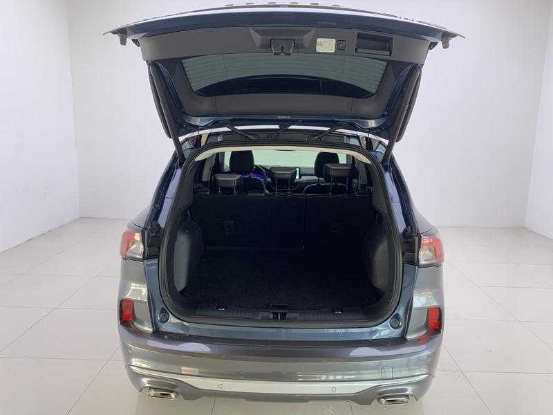 Ford Ruiji 2020