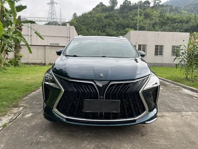 Dongfeng Fengxing Popular yachts 1.5T DCT Wave by Wave version