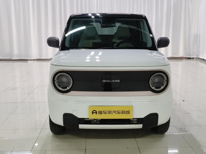 Geely Galaxy panda 2023