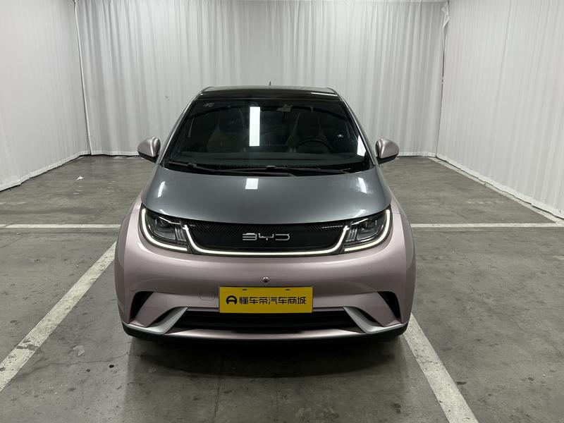 BYD dolphin 2021