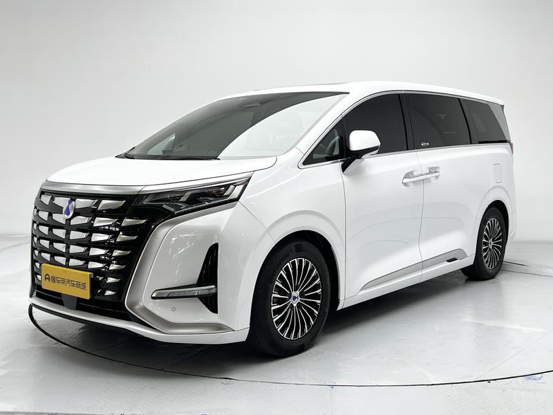 Denza Tengshi D9 DM 2024