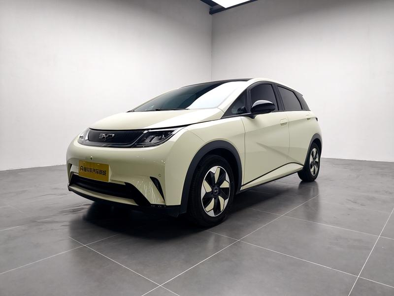 BYD dolphin 2025