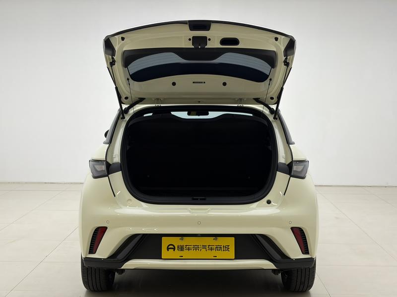 BYD dolphin 2024