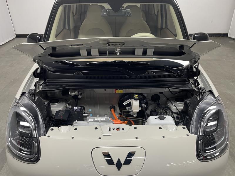 Wuling Wuling Hongguang MINIEV 2025
