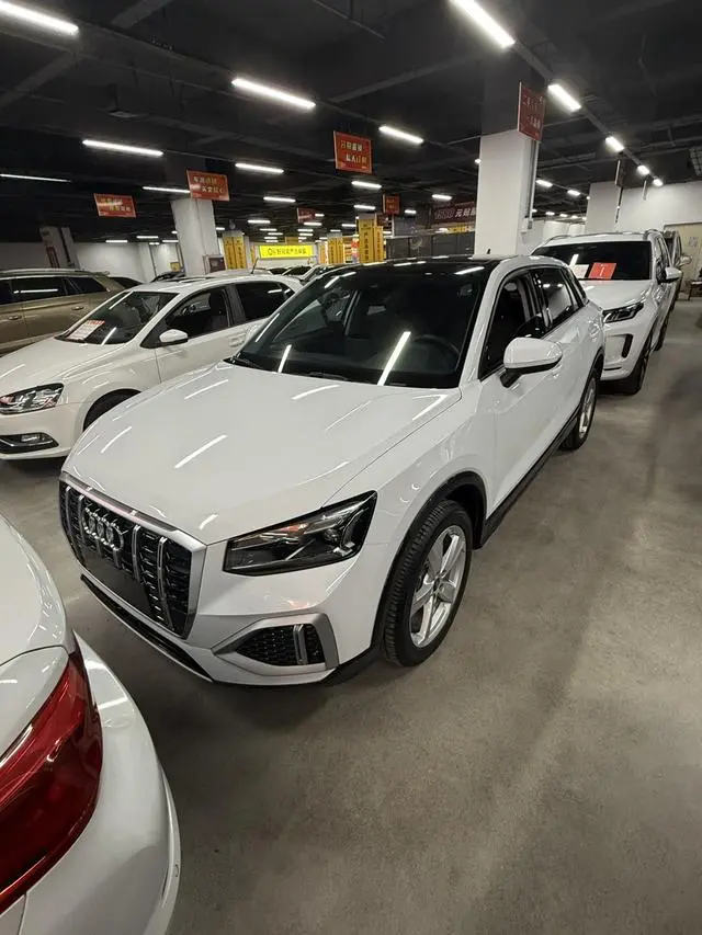 Audi Audi Q2L 35 TFSI aggressive and elegant type