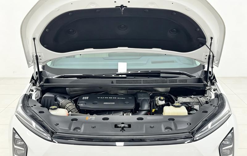 Buick Buick GL8 PHEV 2024