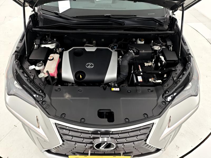 Lexus Lexus NX 2020