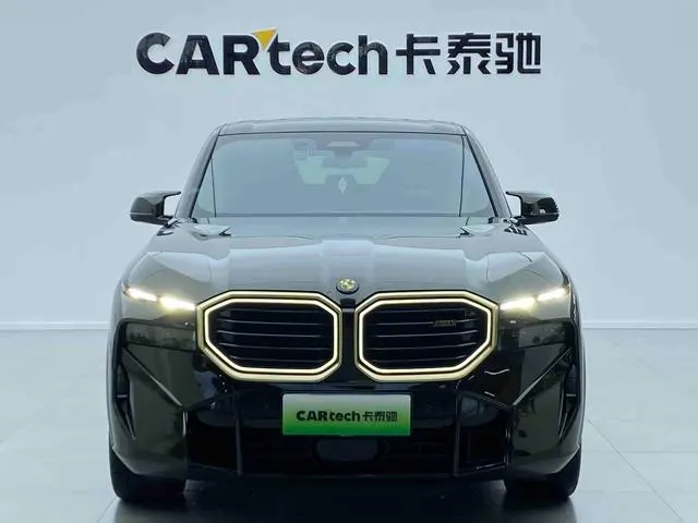 BMW BMW XM 4.4T standard type