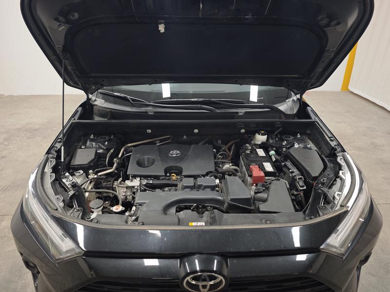 Toyota RAV4 Rong Fang 2023