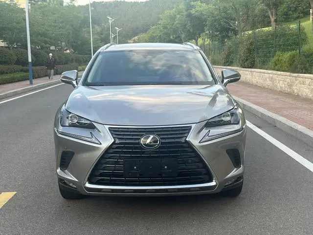 Lexus Lexus NX 200 full drive Fengshang version National V
