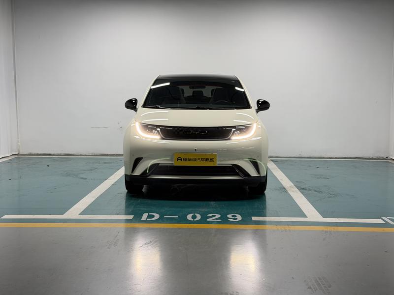 BYD dolphin 2023