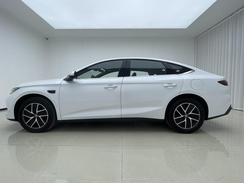 BYD Qin L DM 2026