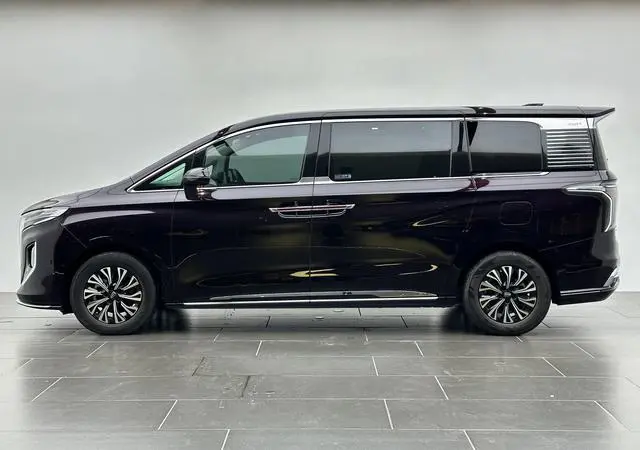 Hongqi Hongqi HQ9 PHEV Four-wheel drive Deluxe Edition