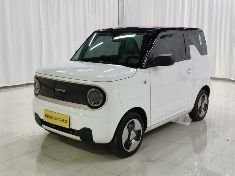 Geely Galaxy panda 2023