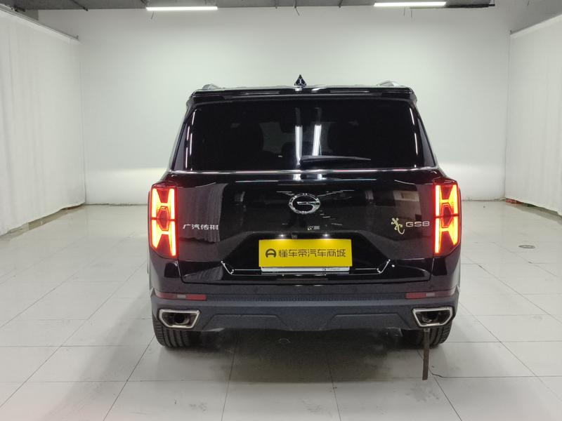 Trumpchi Trumpchi GS8 2024