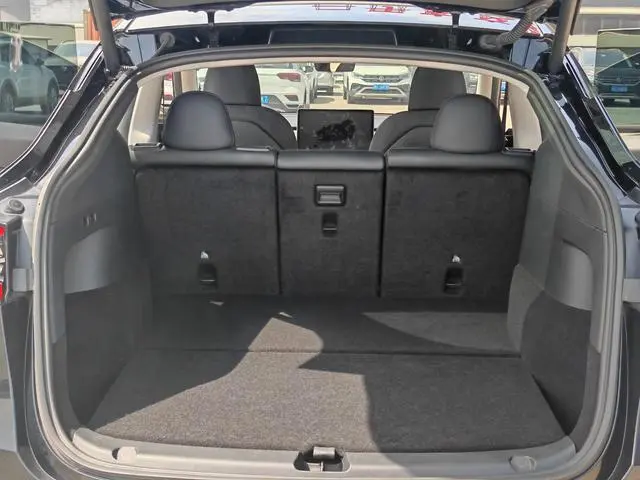 Tesla Model Y Rear-wheel drive version