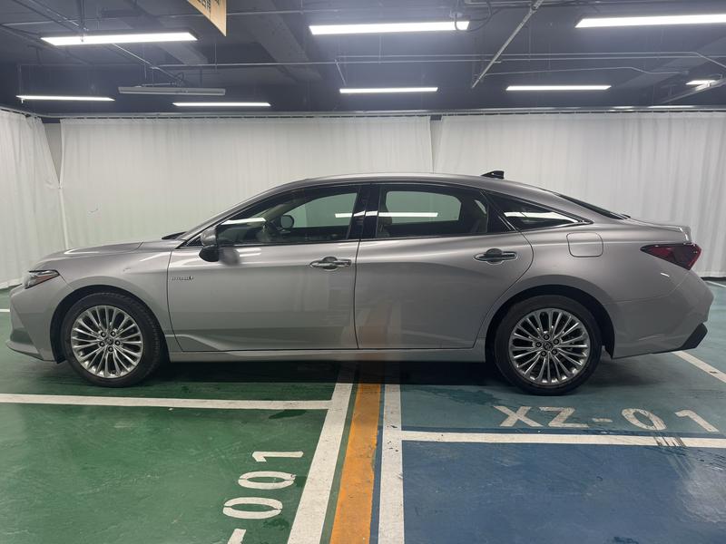 Toyota Asian Dragon 2019
