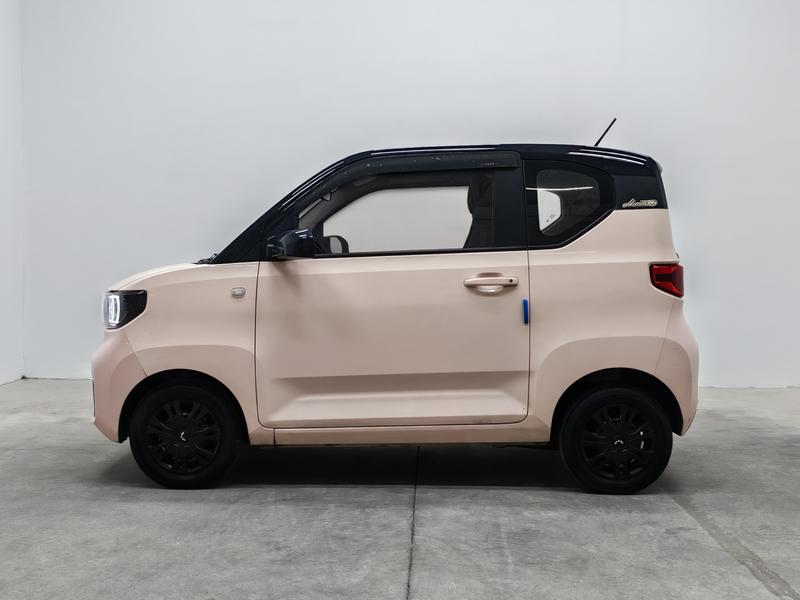 Wuling Wuling Hongguang MINIEV 2021