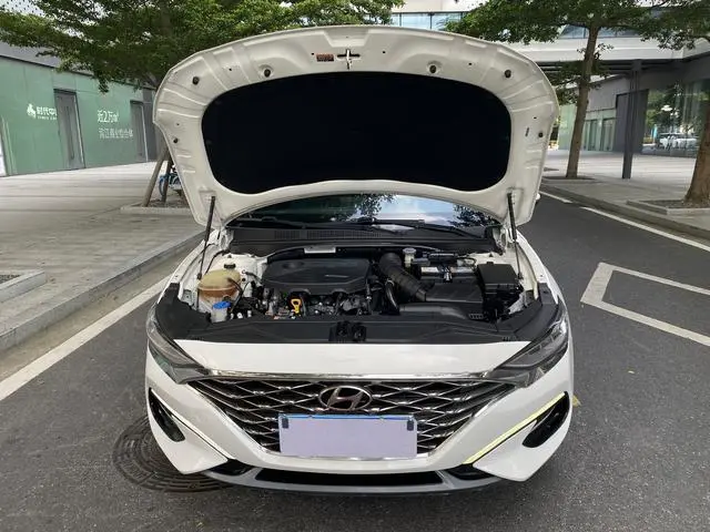 Hyundai Festa 280TGDi sports version Country VI