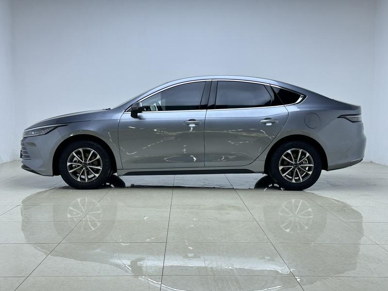 BYD Destroyer 05 2024