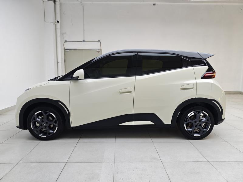 BYD seagull 2025