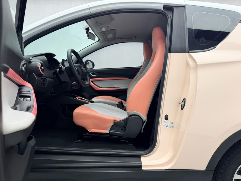 Chery QQ little ant 2024