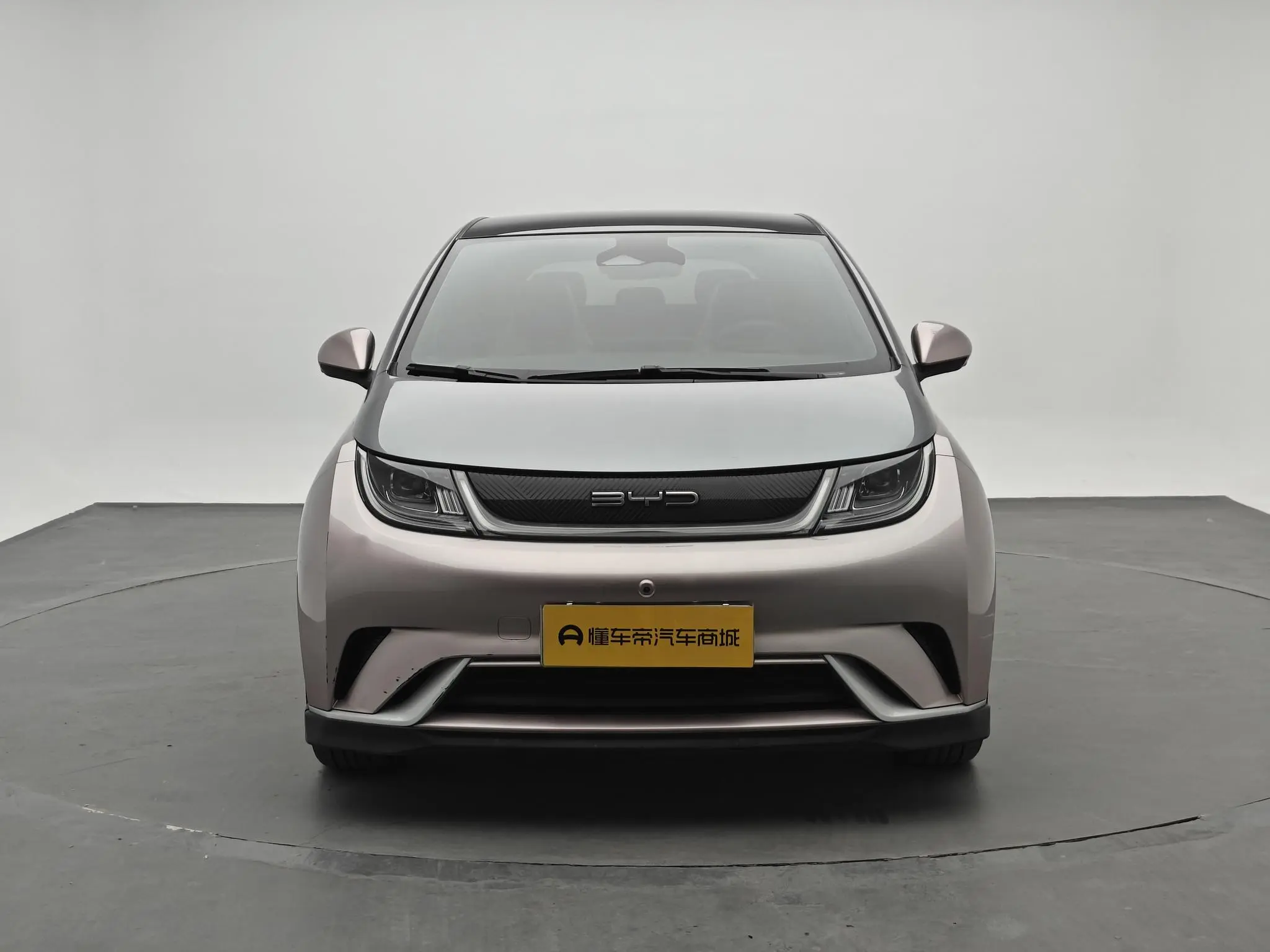 BYD dolphin Knight Edition