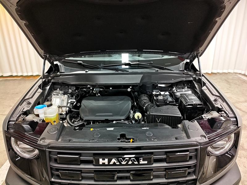Haval 长城大狗 2026