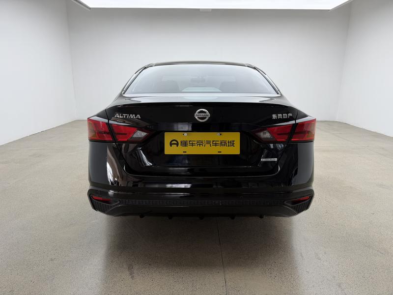 Nissan Sounds of Nature 2020